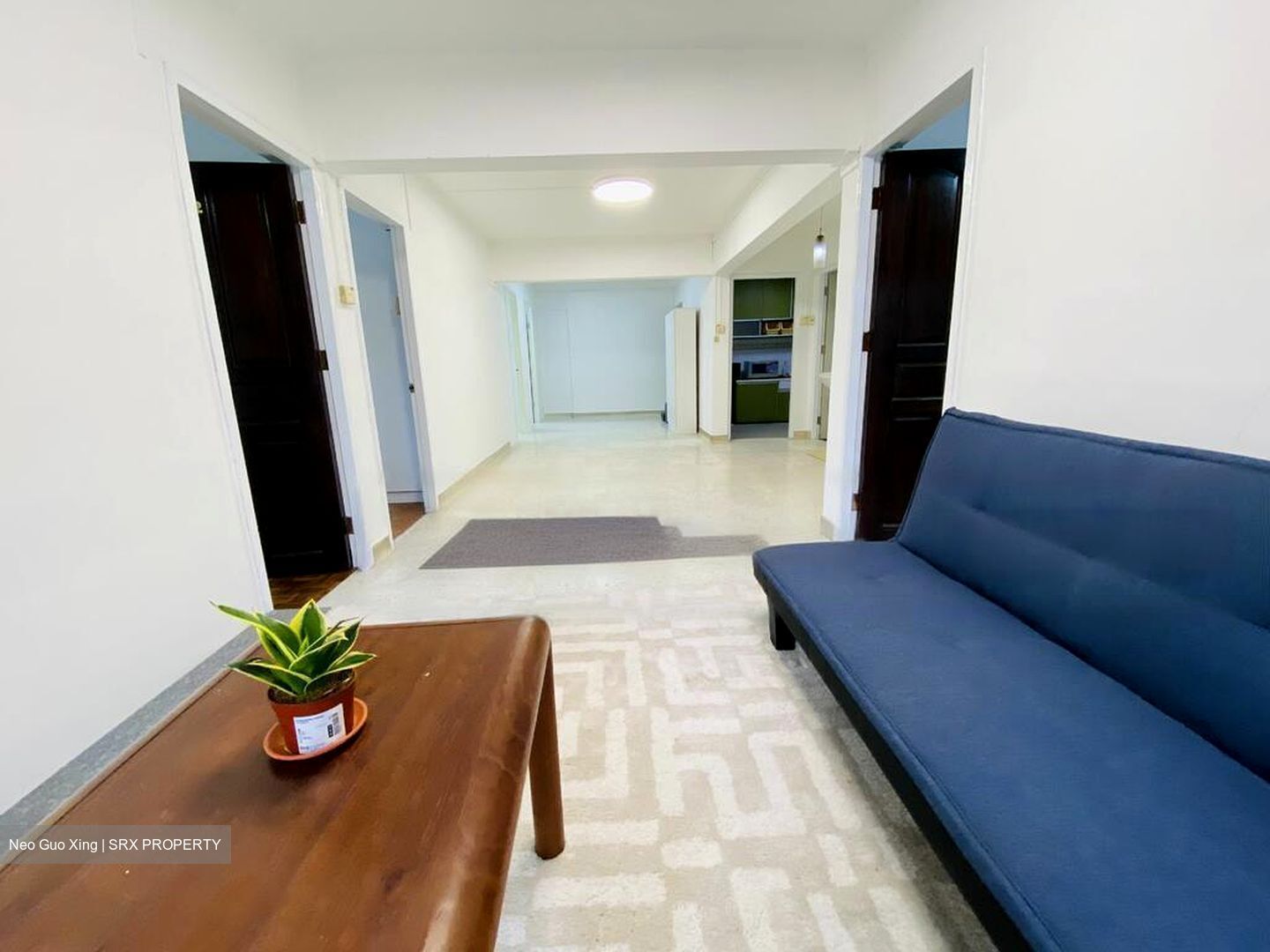 Spottiswoode Park (D2), Apartment #459053291